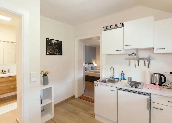 Domizil Ausseerland - Your Austrian التوسي